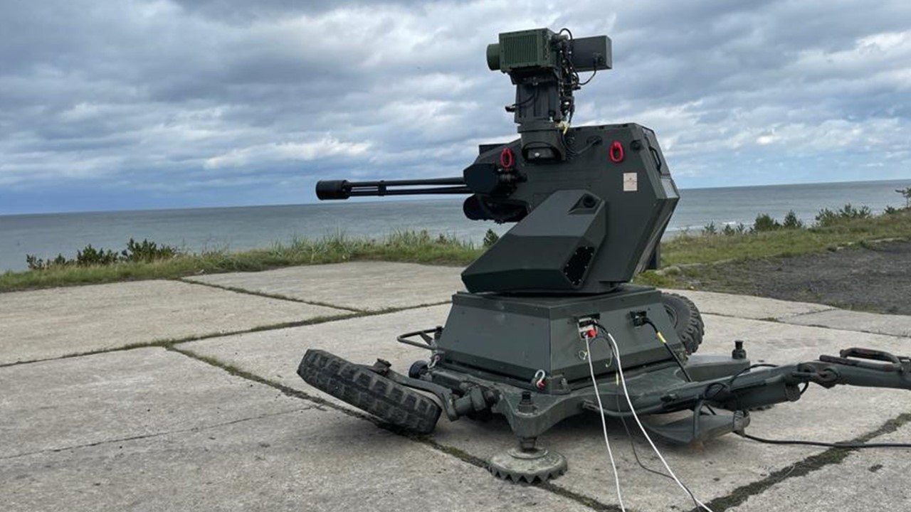 Zwalczania Polish Anti-Drone System (B)